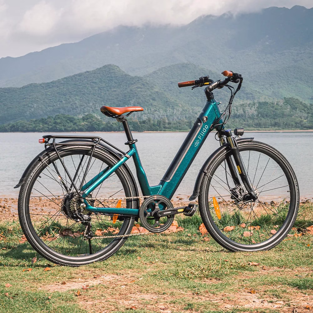 Side view of the Fiido C11 Pro e‑bike